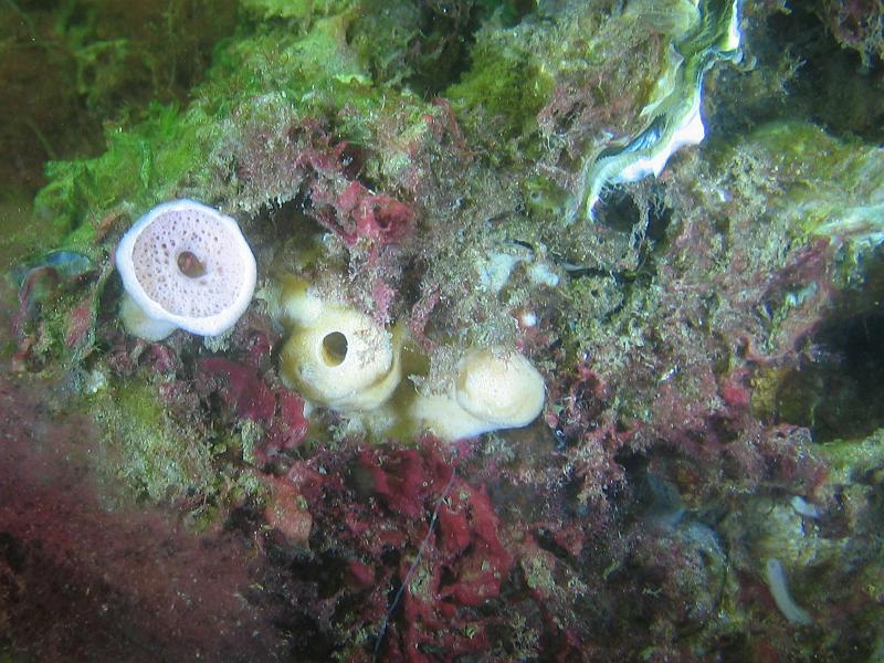 2009-05-02 08-10-43L.JPG